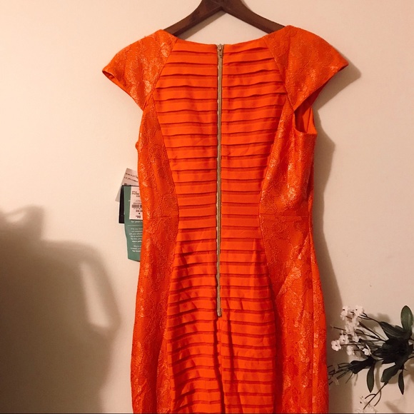 NWT Melrose Social Mandarin Dress gold accent - Picture 7 of 8